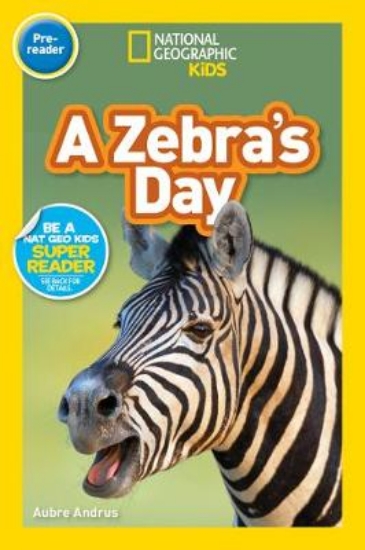 Picture of Zebras Day