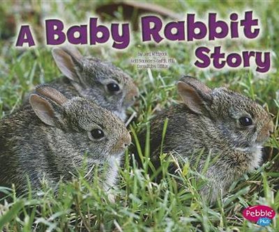 Picture of Baby Rabbit Story