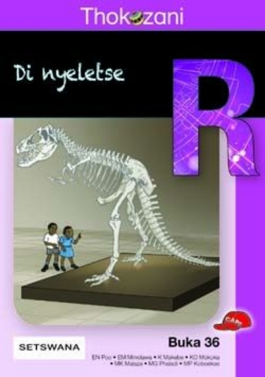 Picture of Tkz Di Nyeletse Tswana Gr R Rd36