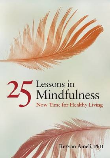 Picture of 25 Lessons in Mindfulness