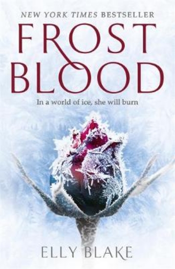 Picture of Frostblood: the epic New York Times bestseller