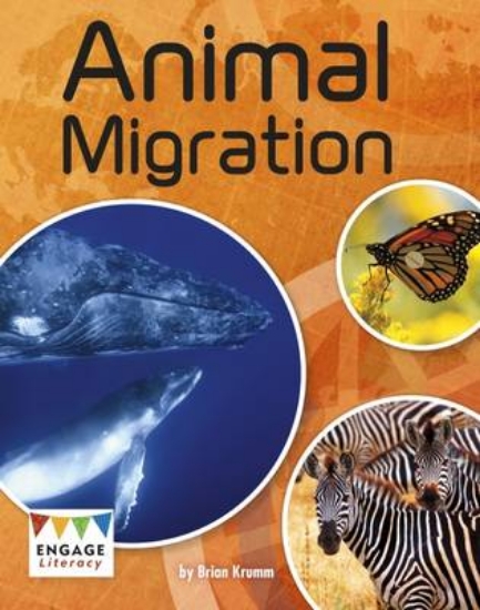 Picture of Animal Migration