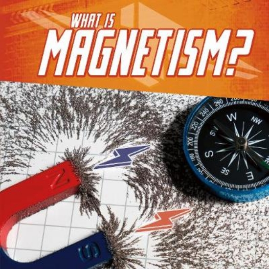 Picture of What Is Magnetism?