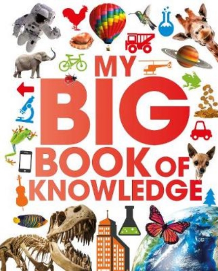 Picture of My Big Book of Knowledge