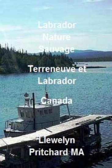 Picture of Labrador Nature Sauvage, Terreneuve Et Labrador, C