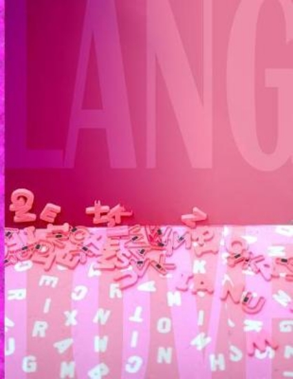 Picture of My Pink Nation Language Arts Notebook