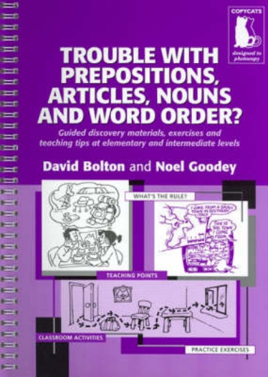 Picture of Trouble With Prepositions , Articles , Nouns and W