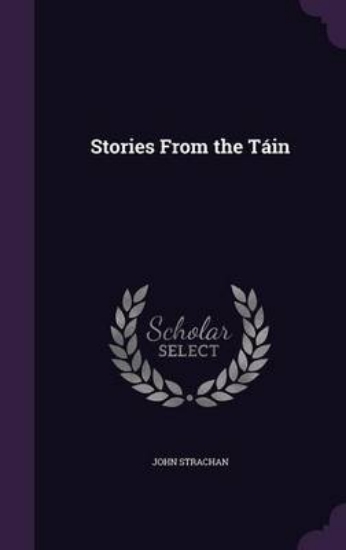 Picture of Stories from the Tain