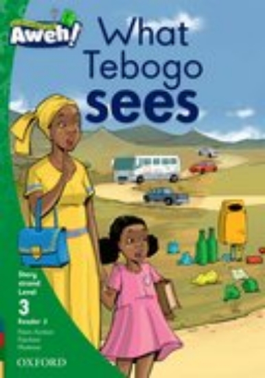 Picture of What Tebogo sees