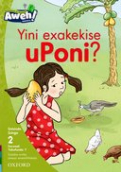 Picture of Yini exakekise uPoni?