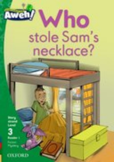 Picture of Who stole Sam’s necklace?
