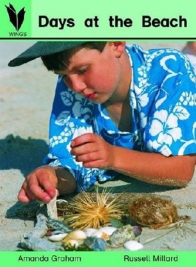 Picture of Days at the Beach