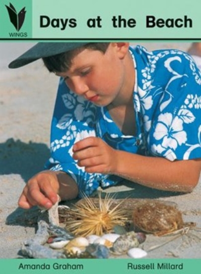 Picture of Days at the Beach