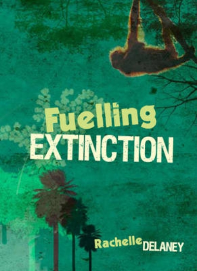 Picture of MainSails Level 6