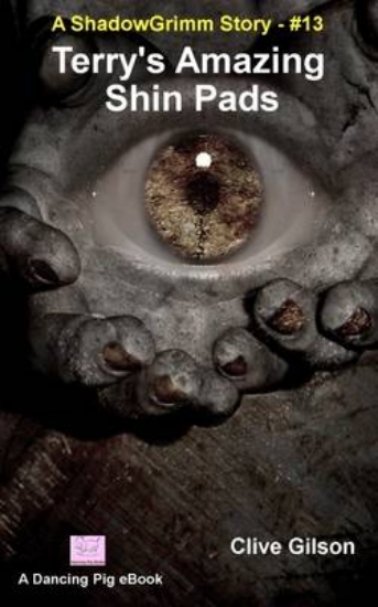 Picture of Terry's Amazing Shin Pads