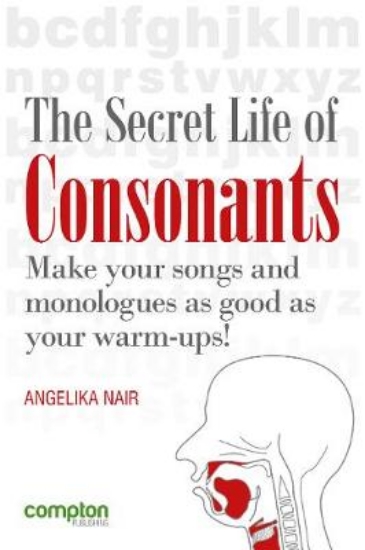 Picture of The Secret Life of Consonants