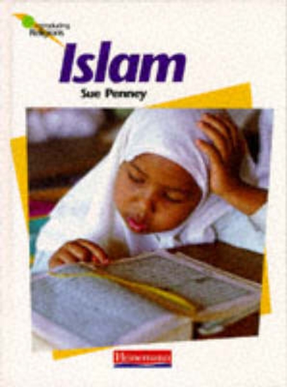 Picture of Introducing Religions: Islam (Cased)