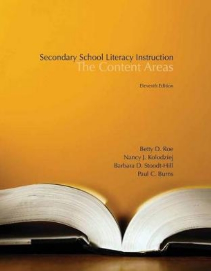 Picture of Secondary School Literacy Instruction