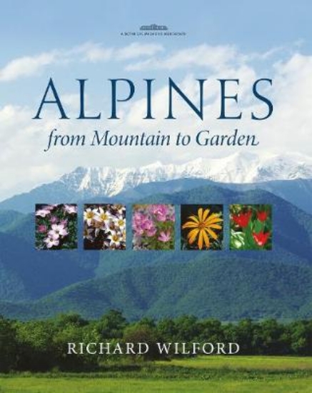 Picture of Alpines, from Mountain to Garden