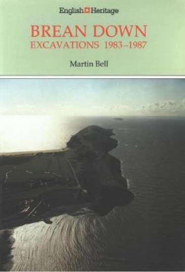 Picture of Brean Down