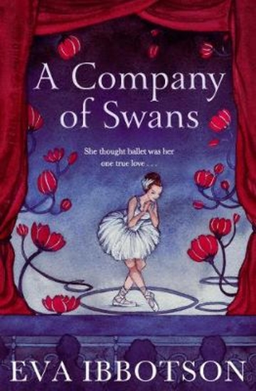 Picture of A Company Of Swans