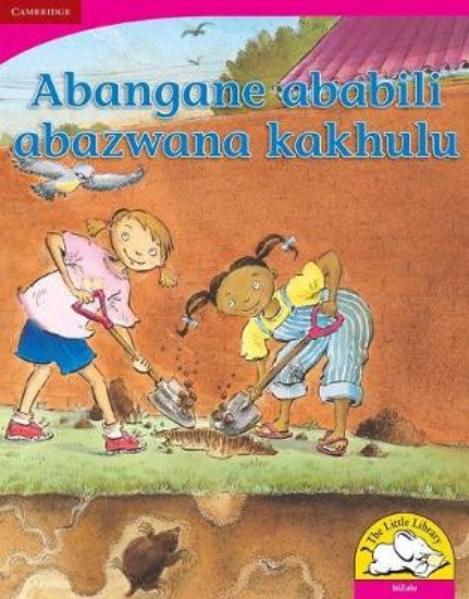 Picture of Abangane ababili abazwana kakhulu (Big Book versio