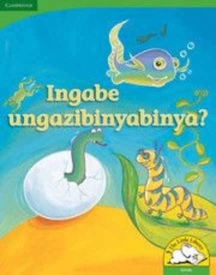 Picture of Ingabe ungazibinyabinya? (Big Book version)