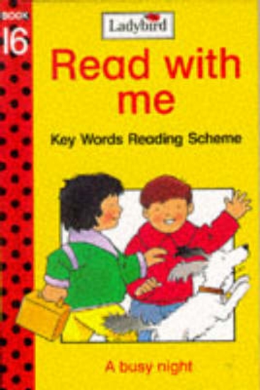 Picture of A Busy Night