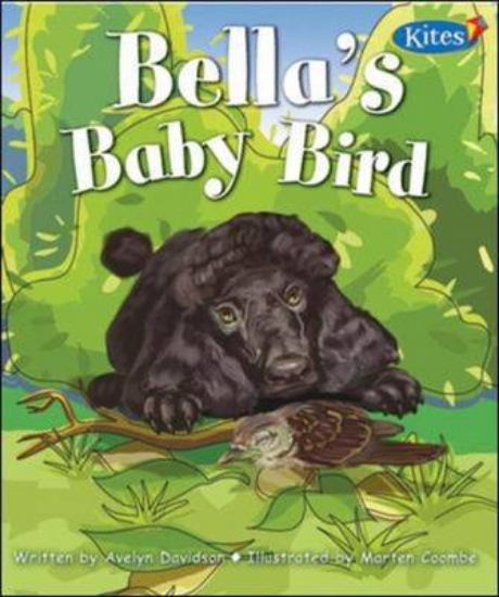 Picture of Bella's Baby Bird 4-Pack (Level 22)