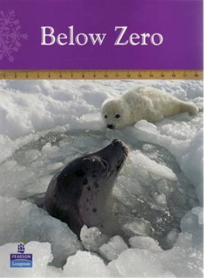 Picture of Below Zero