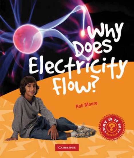 Picture of Why Does Electricity Flow?