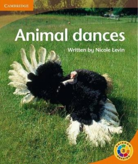 Picture of Animal Dances