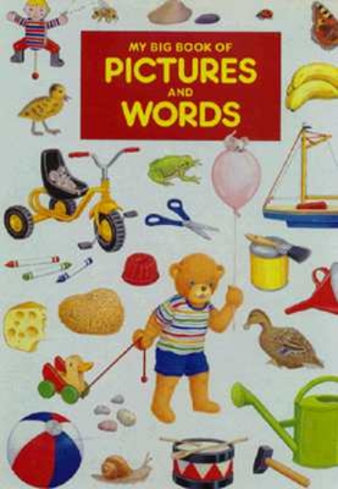 Picture of My Big Book of Pictures and Words