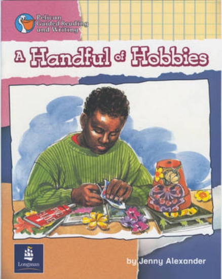 Picture of A handful of hobbies Year 3 Reader 3