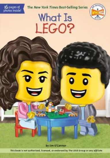 Picture of What Is LEGO?