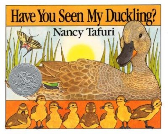 Picture of Have You Seen My Duckling?