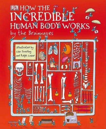 Picture of How the Incredible Human Body Works