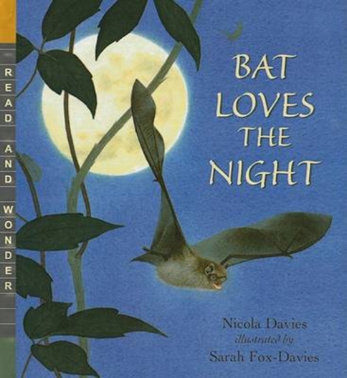 Picture of Bat Loves the Night