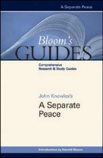 Picture of A Separate Peace