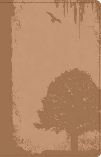 Picture of God Guy Bible