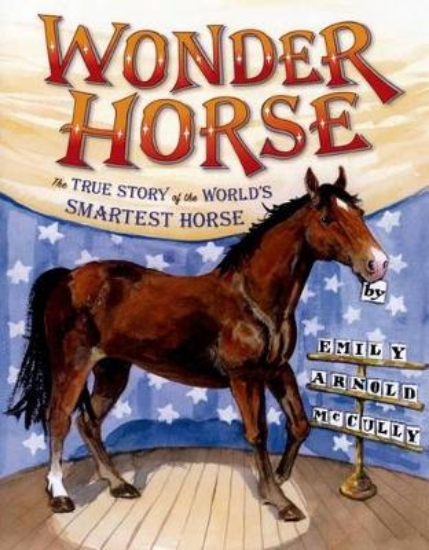 Picture of Wonder Horse
