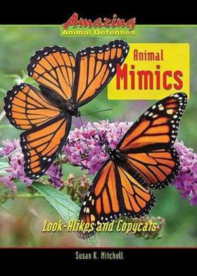 Picture of Animal Mimics