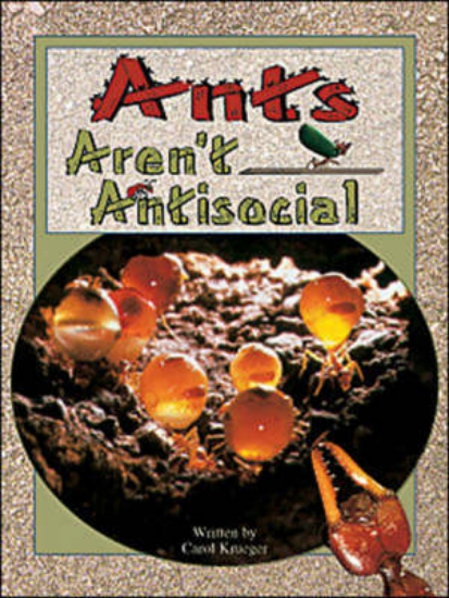 Picture of Ant Aren't Antisocial: That's a Laugh!