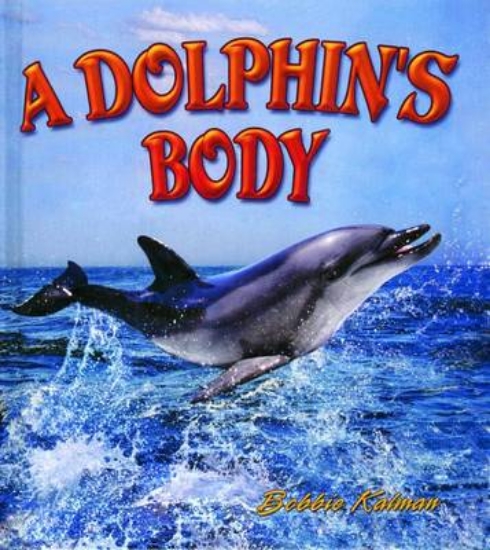 Picture of A Dolphin's Body