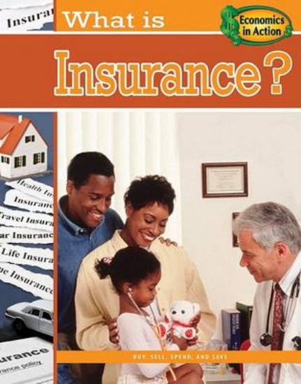 Picture of What is Insurance
