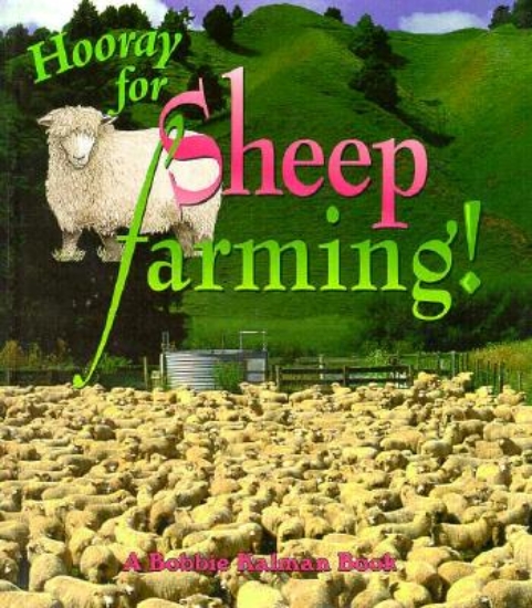 Picture of Hooray for Sheep Farming