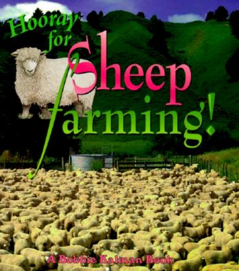 Picture of Hooray for Sheep Farming