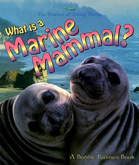 Picture of What is a Marine Mammal?