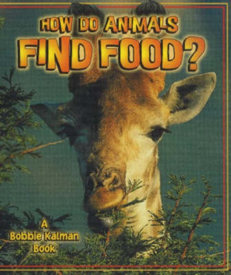 Picture of How Do Animals Find Food?
