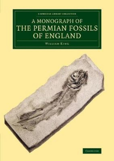 Picture of A Monograph of the Permian Fossils of England